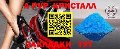 гашик Донской