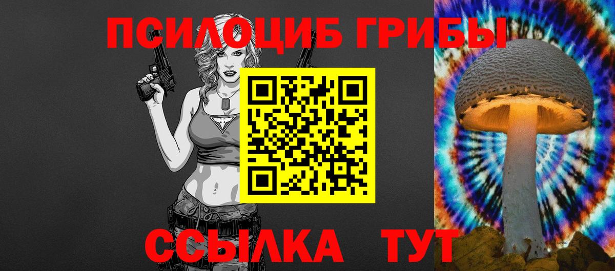 Псилоцибиновые грибы GOLDEN TEACHER  Вход с VPN  Ливны 